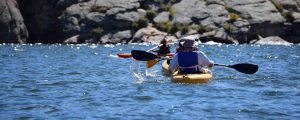 Gear Farm Camping Helford River Area Things To Do Page